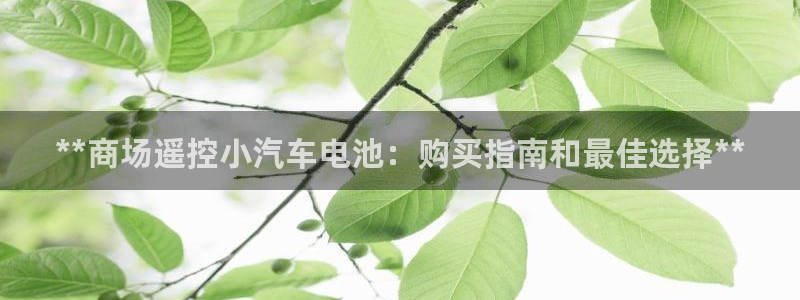 优发国际手机客户端官网下载