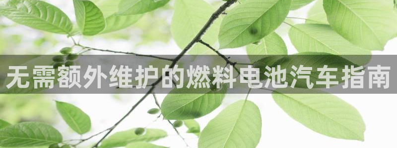 优发国际注册平台官网：无需额外维护的燃料电池汽车指南